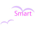 Smartの印